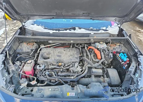 2020 Toyota Rav4 Le z USA, uszkodzony, nr VIN 2T3LWRFV2LW063653